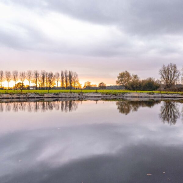 Meetjeslandse natuur